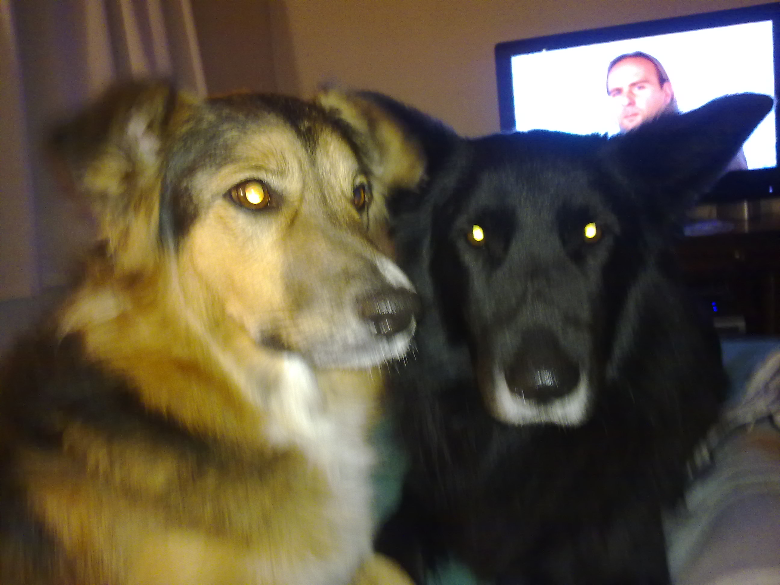 fotos/2010-07-19 - Mision Mundial/11062010426.jpg